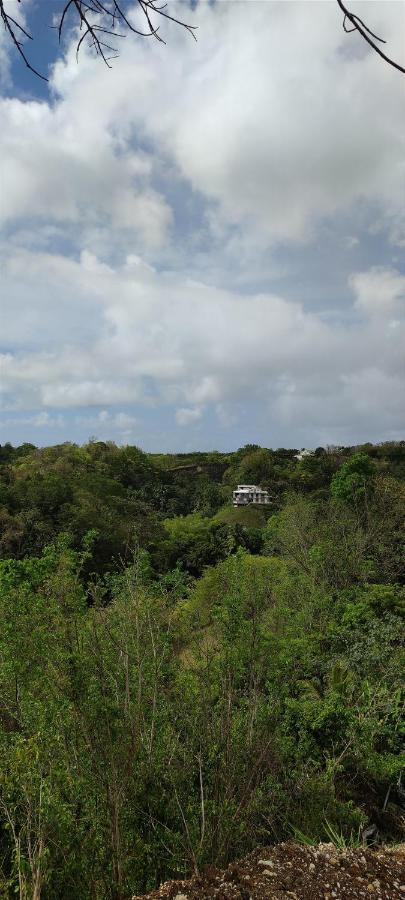 Villa Chez Tatie-Clo Devient Gray Coconut Cake Le Moule Exterior foto